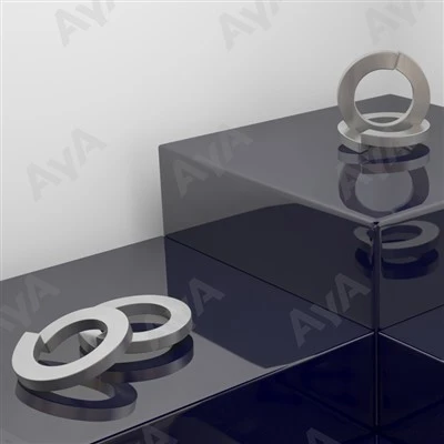 Stainless Spring Washer